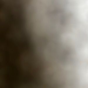 Meet your Posher, Nathan